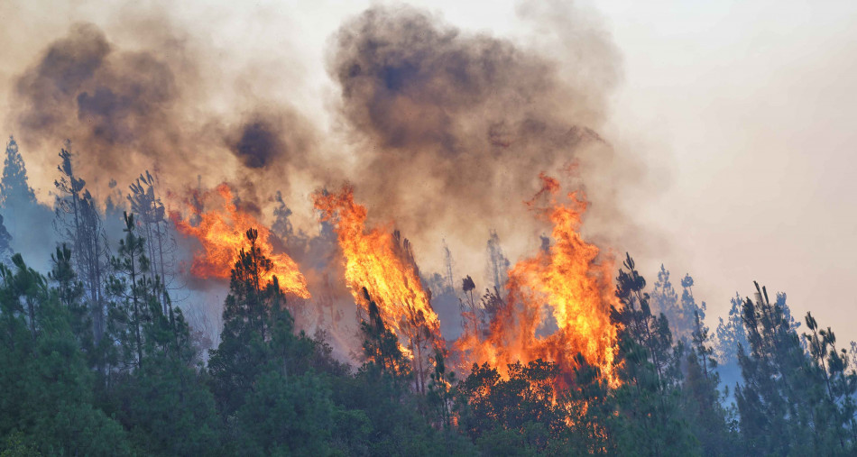Incendies de forêts : Risque "moyen" à "extrême" dans plusieurs provinces du Maroc